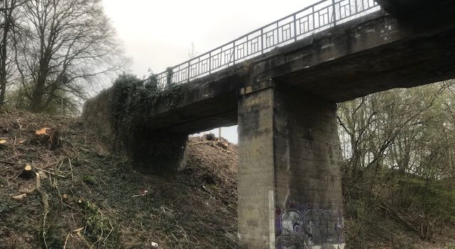 Eisenbahnbrückendemontage in Werne